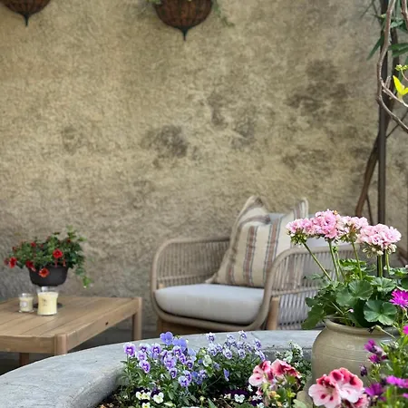 Le Patio Des Senteurs Verzeille
