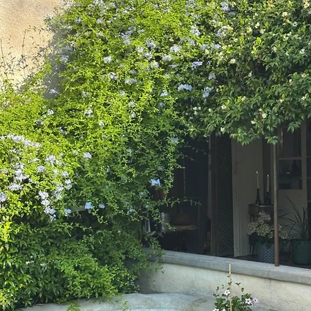 Le Patio Des Senteurs Verzeille